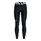 Under Armour HG leggings