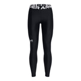 Under Armour HG leggings