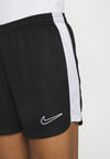 Nike Dri-FIT Academy 23 shorts